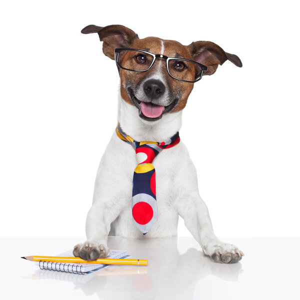 chien inventaire